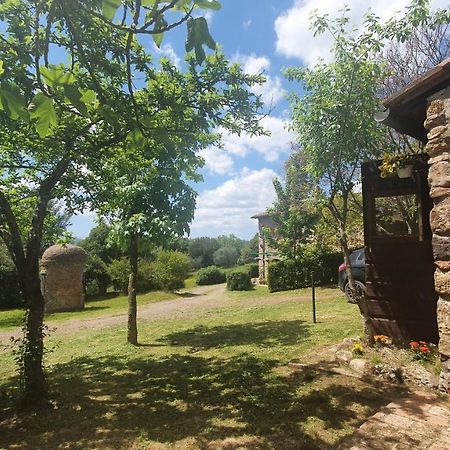 Villa Resi Bed & Nature Murlo Zewnętrze zdjęcie