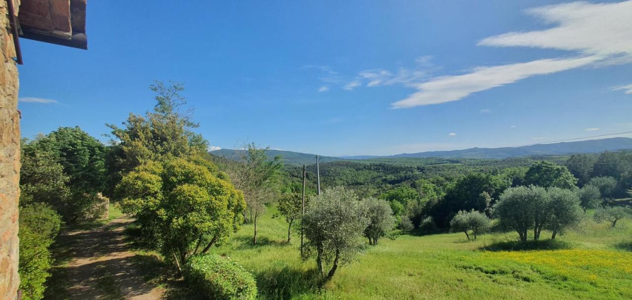 Villa Resi Bed & Nature Murlo Zewnętrze zdjęcie
